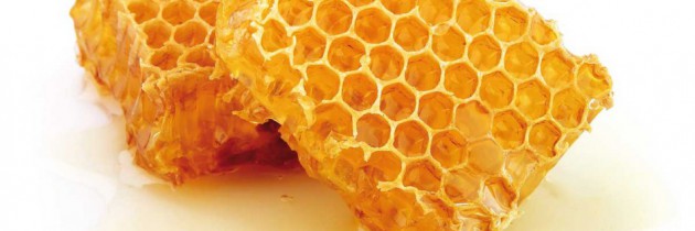 Terapia glejaków mózgu – produkty pszczele